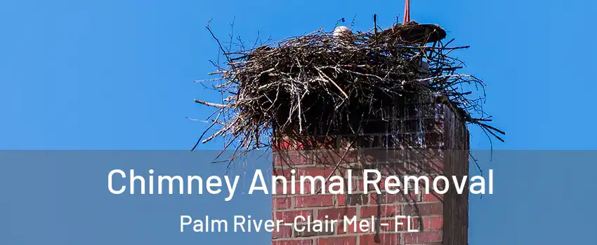 Chimney Animal Removal Palm River-Clair Mel - FL
