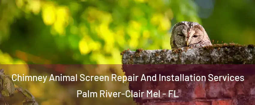  Chimney Animal Screen Repair And Installation Services Palm River-Clair Mel - FL