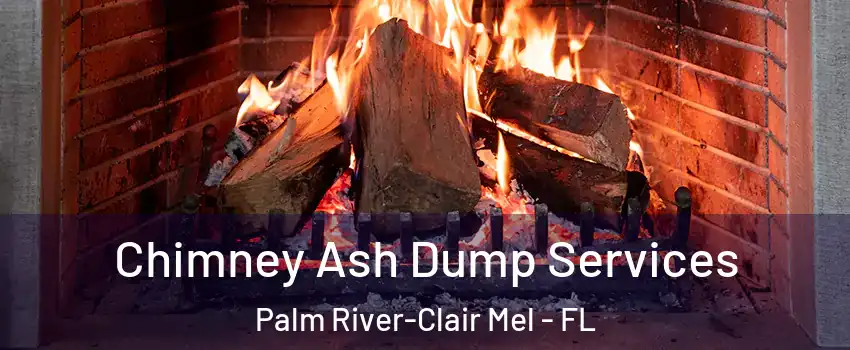  Chimney Ash Dump Services Palm River-Clair Mel - FL
