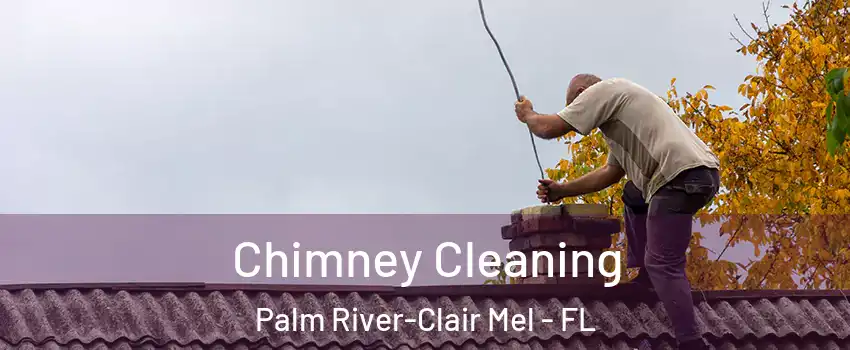  Chimney Cleaning Palm River-Clair Mel - FL