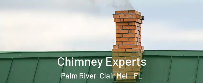 Chimney Experts Palm River-Clair Mel - FL