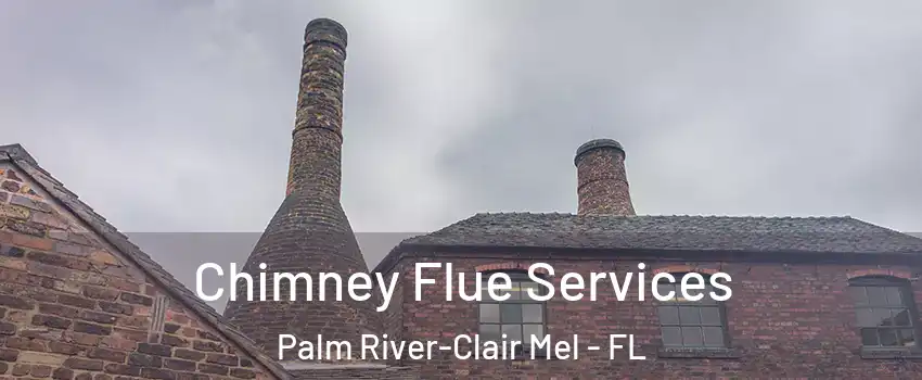  Chimney Flue Services Palm River-Clair Mel - FL