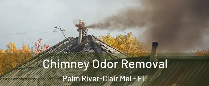  Chimney Odor Removal Palm River-Clair Mel - FL