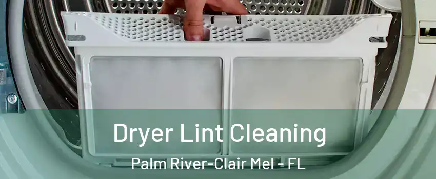  Dryer Lint Cleaning Palm River-Clair Mel - FL