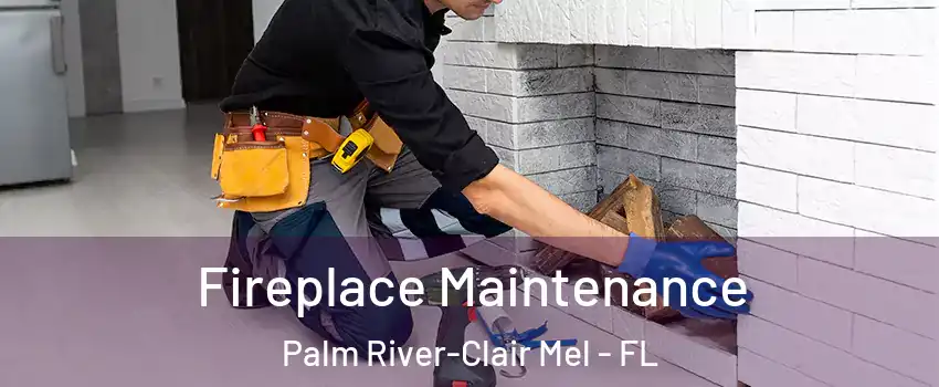  Fireplace Maintenance Palm River-Clair Mel - FL