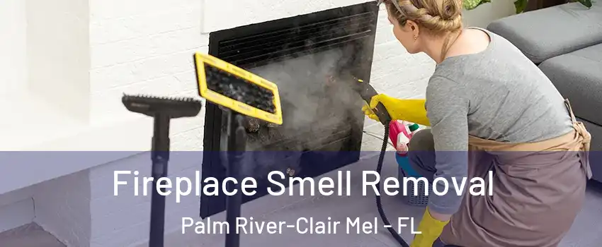  Fireplace Smell Removal Palm River-Clair Mel - FL