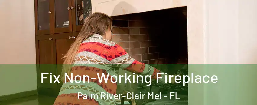  Fix Non-Working Fireplace Palm River-Clair Mel - FL