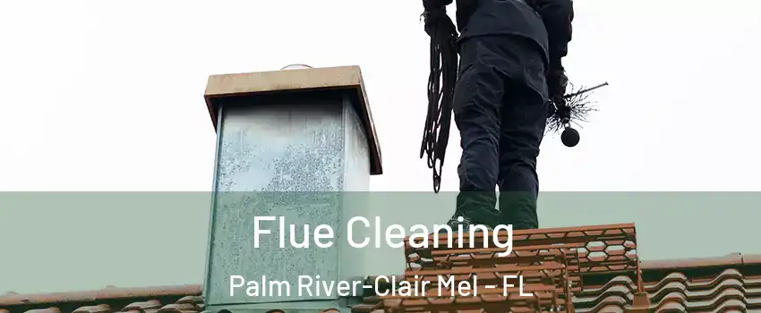  Flue Cleaning Palm River-Clair Mel - FL