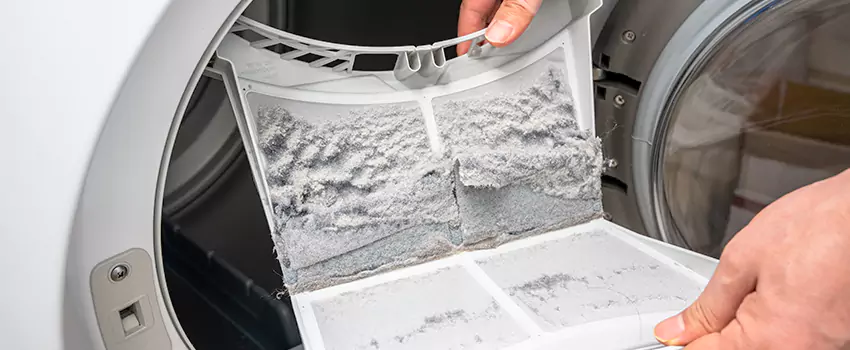 Best Dryer Lint Removal Company in Palm River-Clair Mel, Florida
