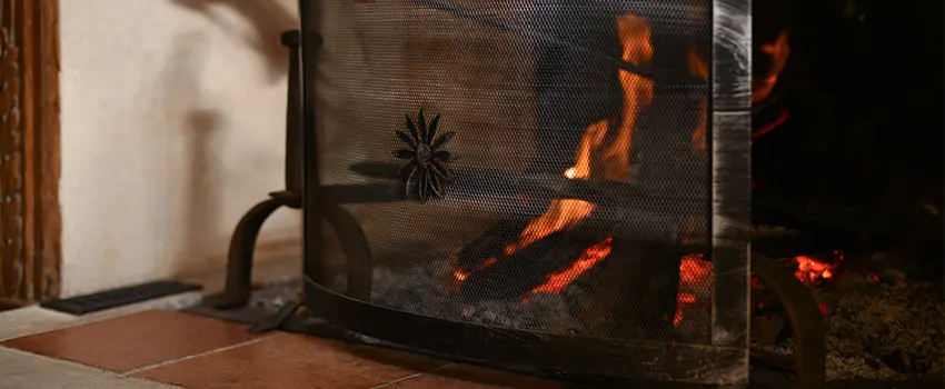 Electric Metal Fireplace installation Services in Palm River-Clair Mel, FL