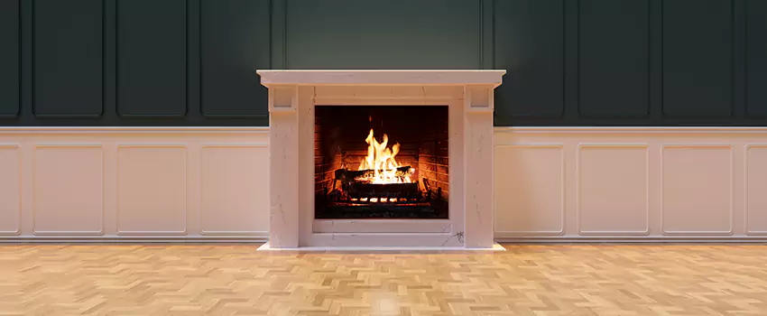 Napoleon Electric Fireplaces Inspection Service in Palm River-Clair Mel, Florida