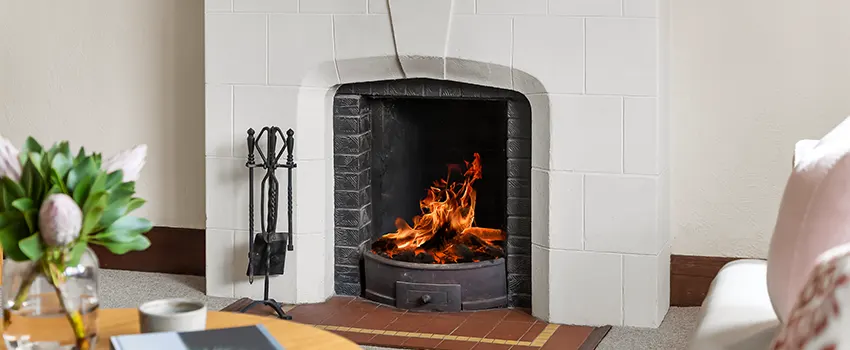 Valor Fireplaces and Stove Repair in Palm River-Clair Mel, FL