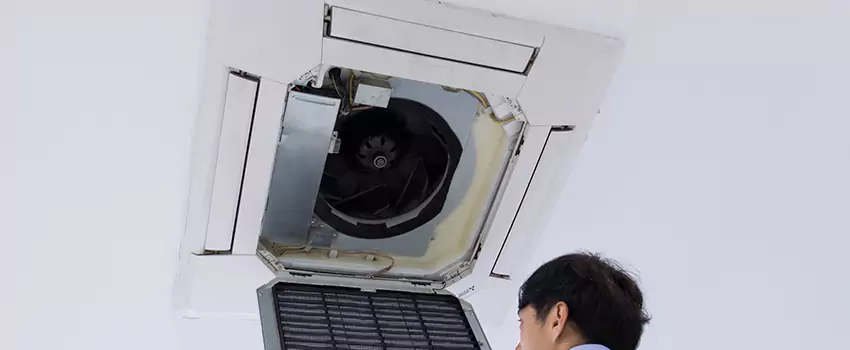 Benefits of Professional Air Duct Cleaning in Palm River-Clair Mel, Florida