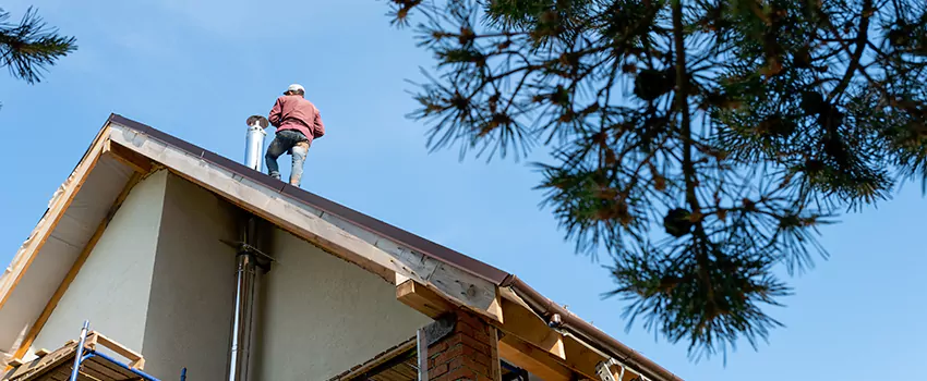 Birds Removal Contractors from Chimney in Palm River-Clair Mel, FL