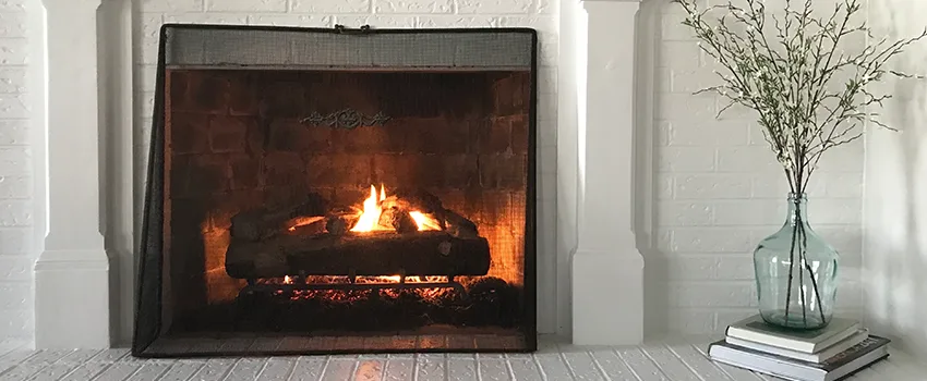 Cost-Effective Fireplace Mantel Inspection And Maintenance in Palm River-Clair Mel, FL