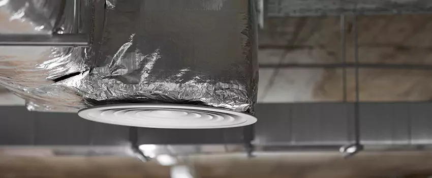 Signs of Dust Accumulation in Vents in Palm River-Clair Mel, FL