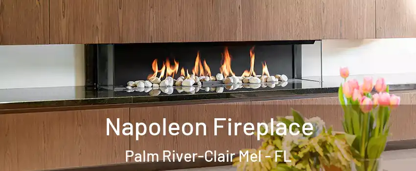  Napoleon Fireplace Palm River-Clair Mel - FL