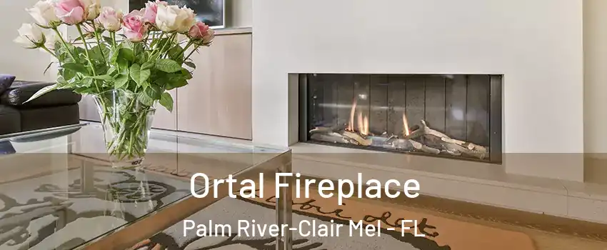  Ortal Fireplace Palm River-Clair Mel - FL